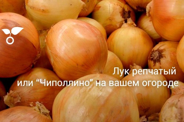 Кракен сайт даркнет зеркало