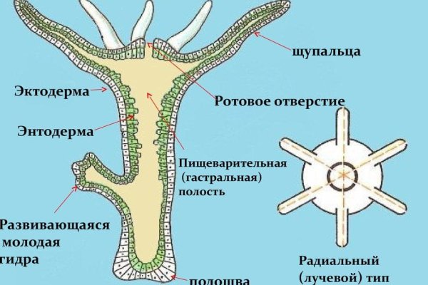 Kraken магазин