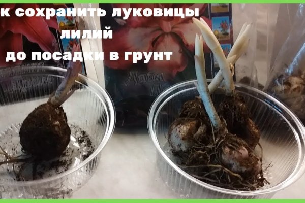 Кракен ссылка на сайт com
