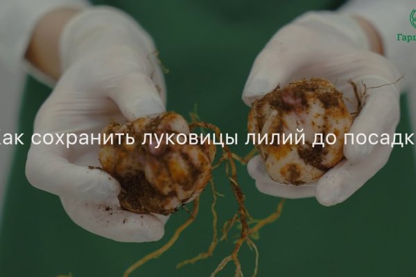 Кракен что это магазин
