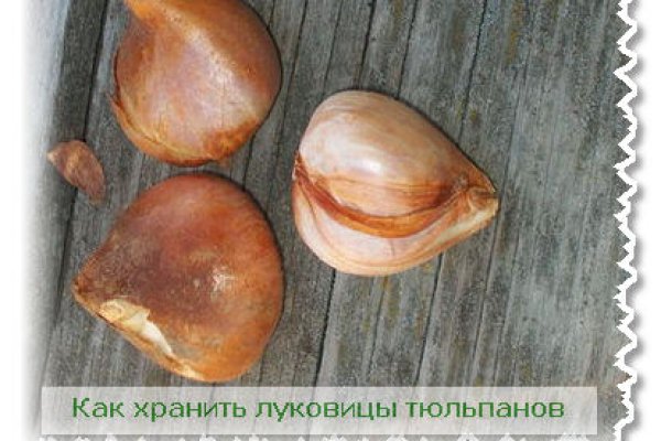 Kraken 12 at сайт