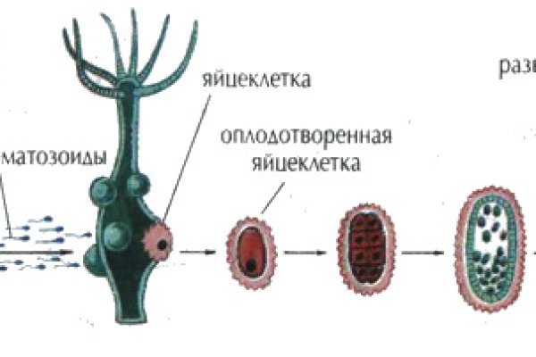Кракен маркетплейс это