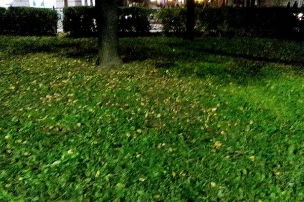 Кракен зеркало