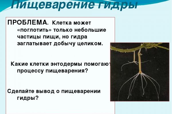 Кракен безопасный вход