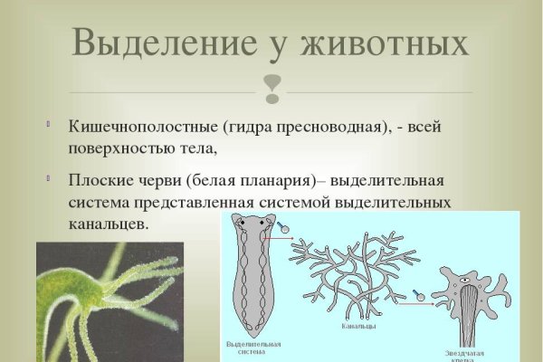 Услуги даркнета