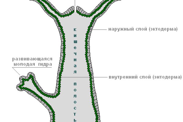 Кракен зеркала krk store com