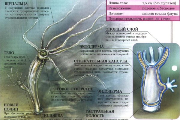 Ссылки мега кракен