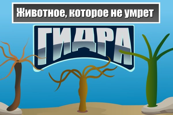 Kraken маркетплейс официальный